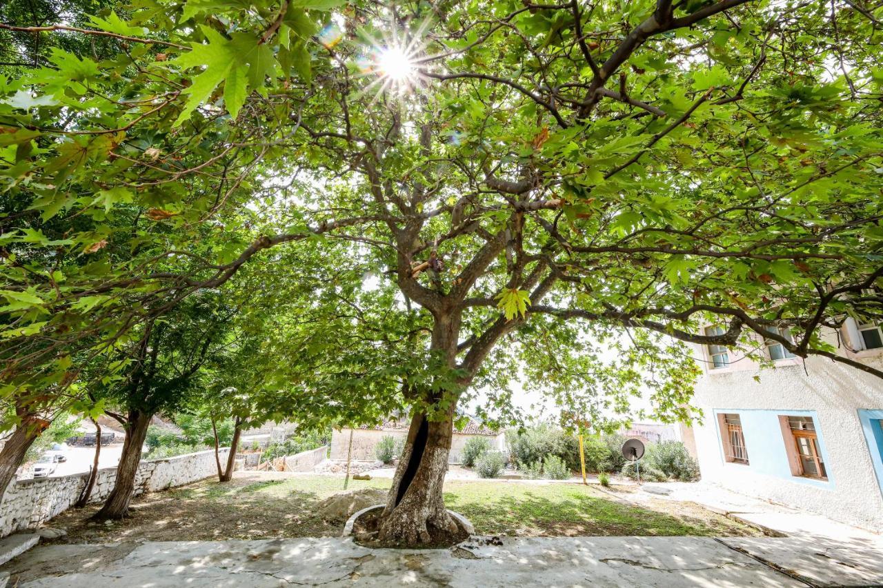 Vila Leon - Old Qeparo - 6 People ภายนอก รูปภาพ